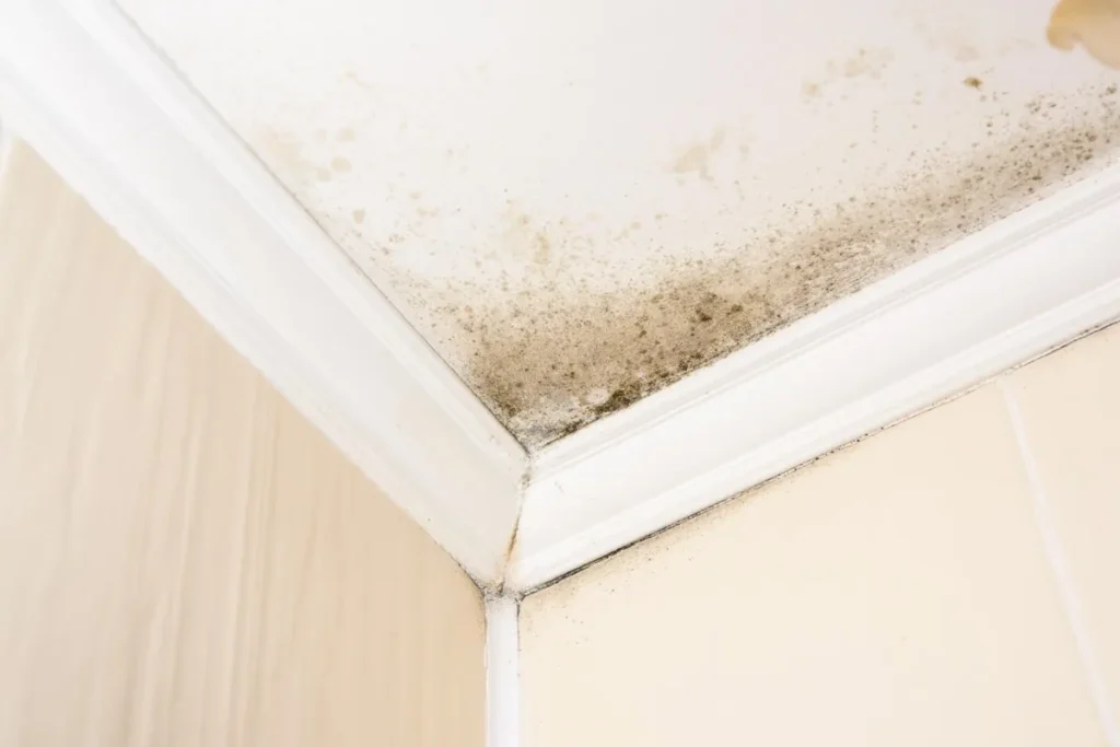 Tache d'humidité au plafond causée par une fuite